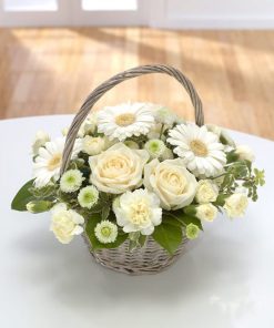 Pure Basket