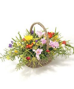Mixed Freesia Basket