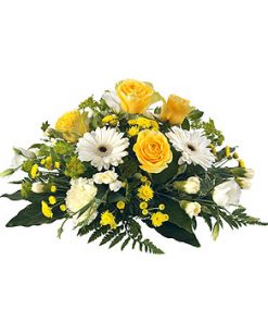 Yellow Posy