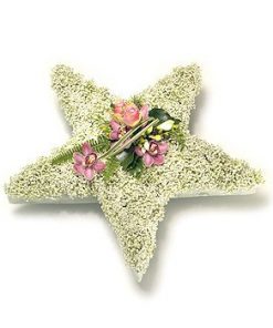 Star 