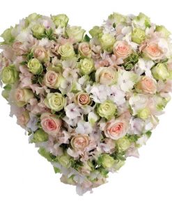 Soft Heart