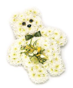 Teddy Bear