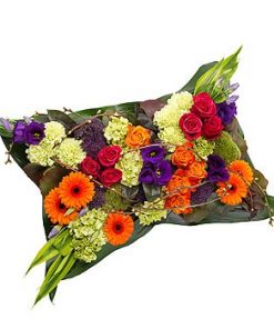 Vibrant Pillow