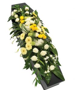 Yellow and White Spray